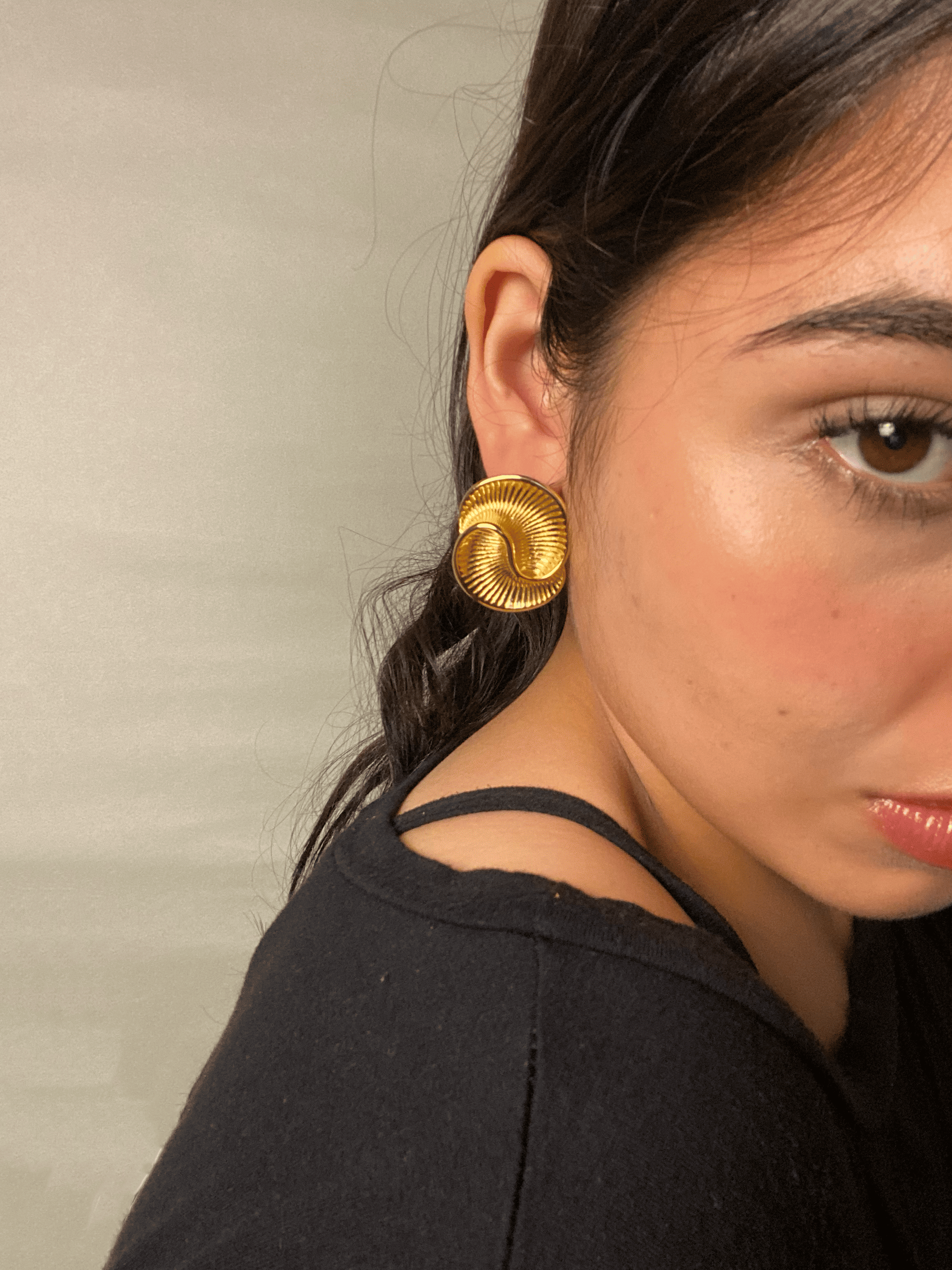 Aretes Amonites