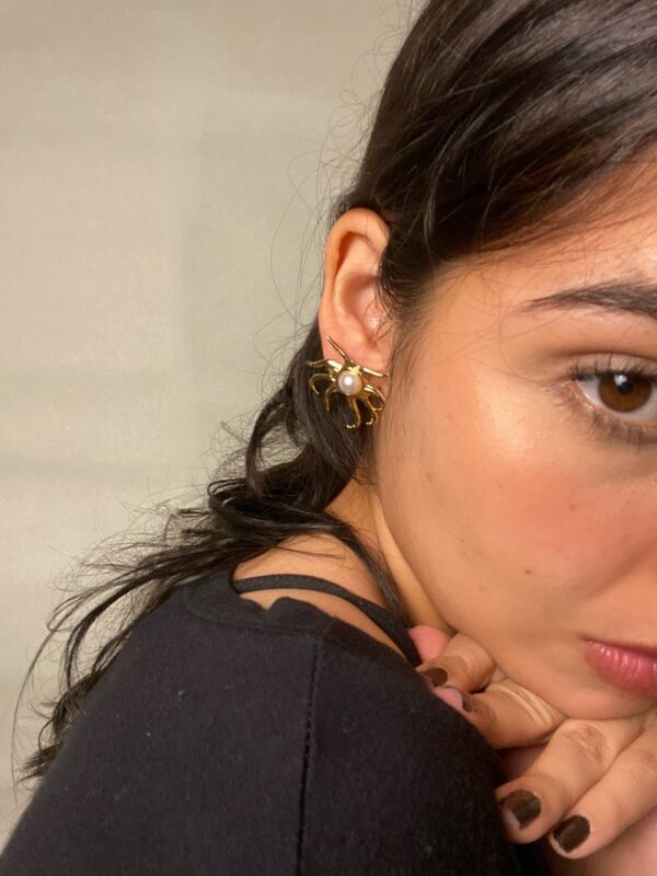 Aretes Crustaseo