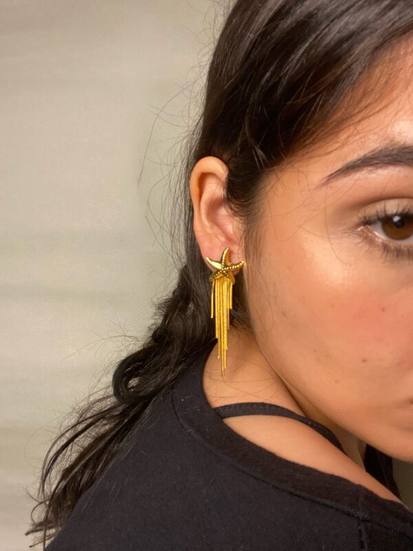 Aretes Cinco Mares