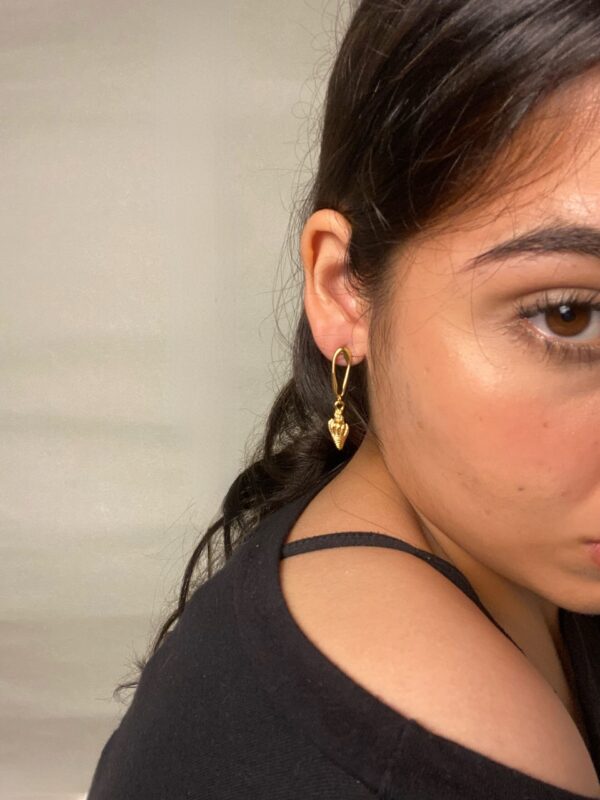 Aretes Bahia