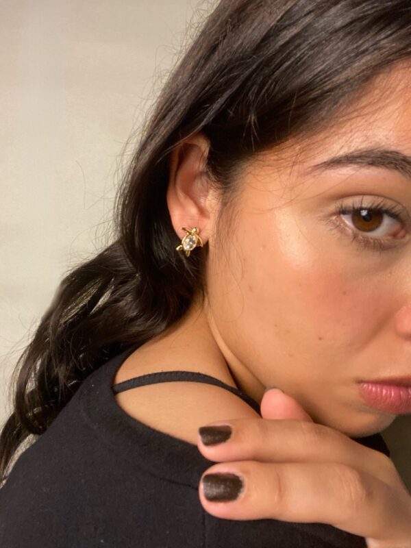 Aretes Tortuga