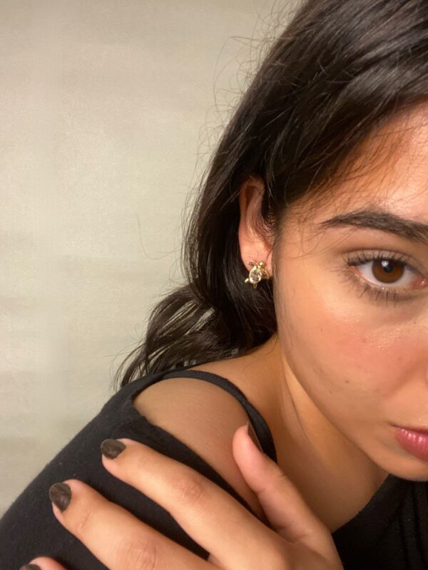 Aretes Tortuga