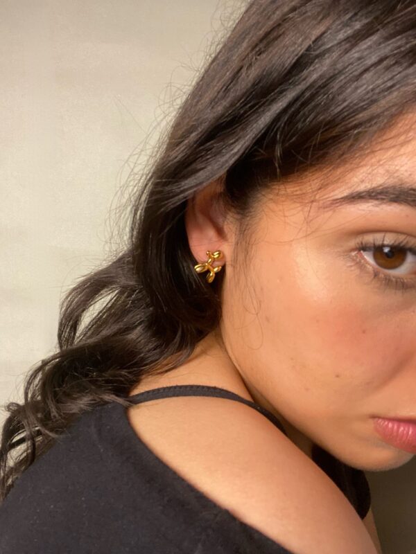 Aretes Hotdog