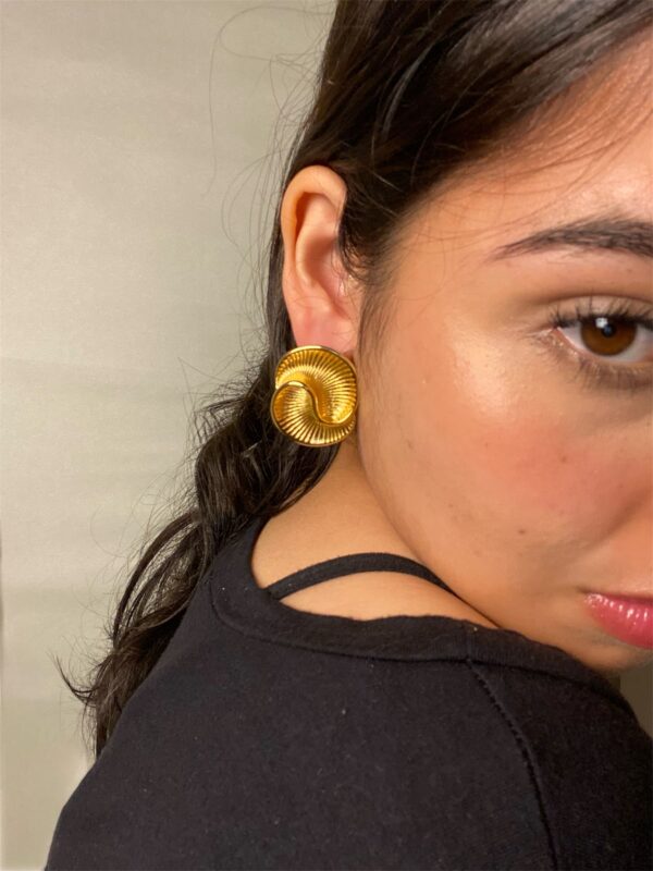 Aretes Amonites