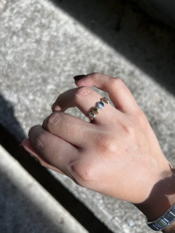 Anillo Espejo de Agua