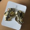 Aretes Roma