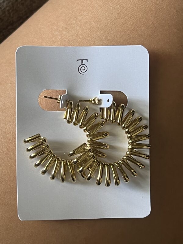 Aretes Julia