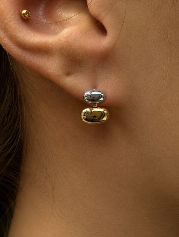 Aretes Nirvana