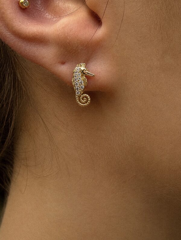 Aretes Caballito de Mar