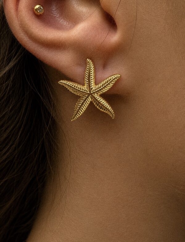 Aretes Corazón del Mar