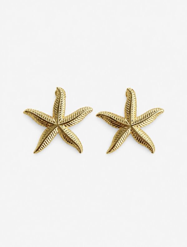 Aretes Corazón del Mar