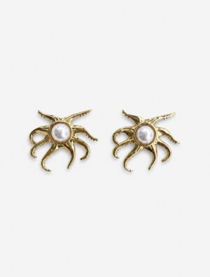 Aretes Crustaseo