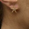 Aretes Hawái