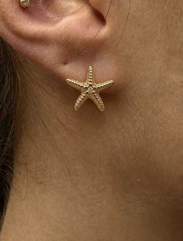 Aretes Hawái