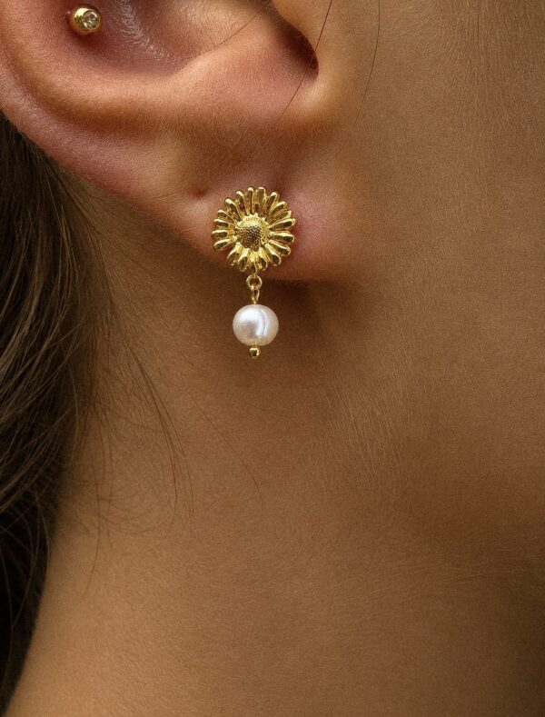 Aretes Marisol
