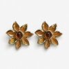 Aretes Verano