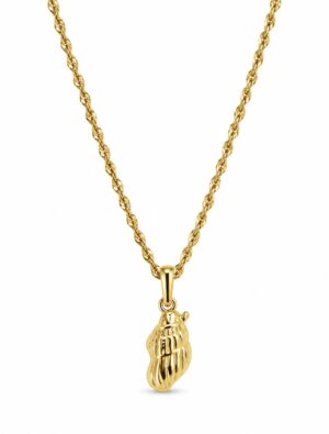 Collar Molusco
