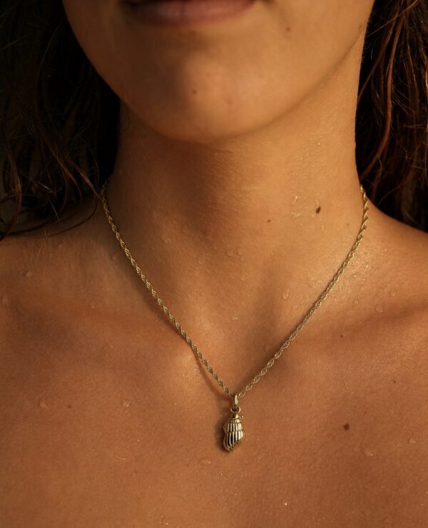 Collar Molusco