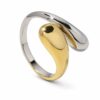Anillo Fusión