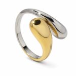 Anillo Fusión