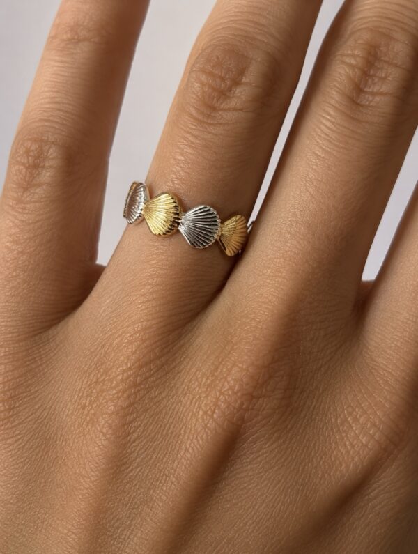 Anillo Espejo de Agua