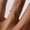 Anillo Victoria