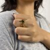 Anillo Estelar