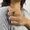 Anillo Estelar