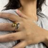 Anillo Fusión