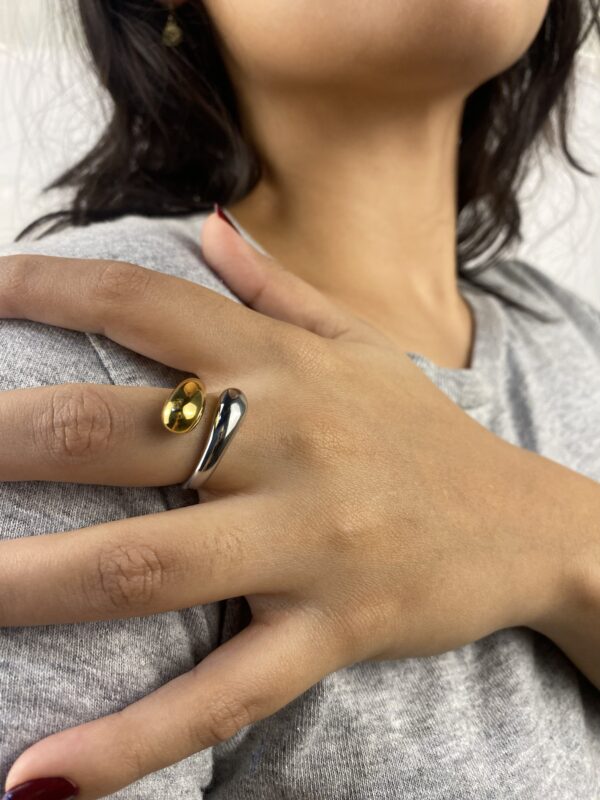 Anillo Fusión