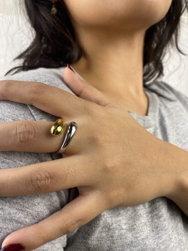Anillo Fusión