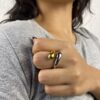 Anillo Fusión