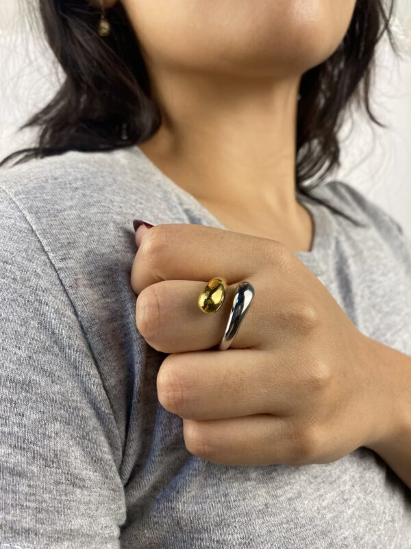 Anillo Fusión