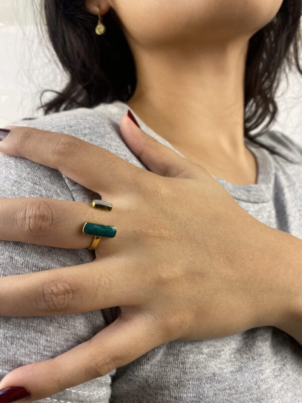Anillo Julia