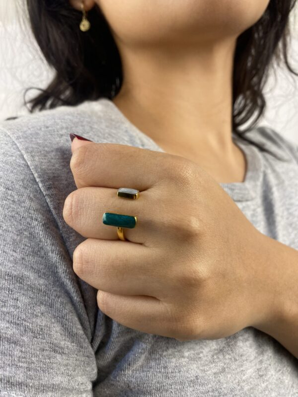 Anillo Julia