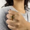 Anillo Lattice