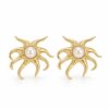 Aretes Crustaseo