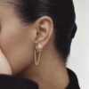 Aretes Raven