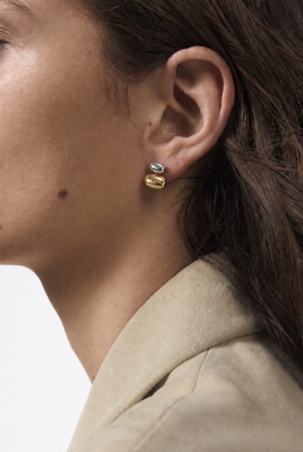 Aretes Nirvana
