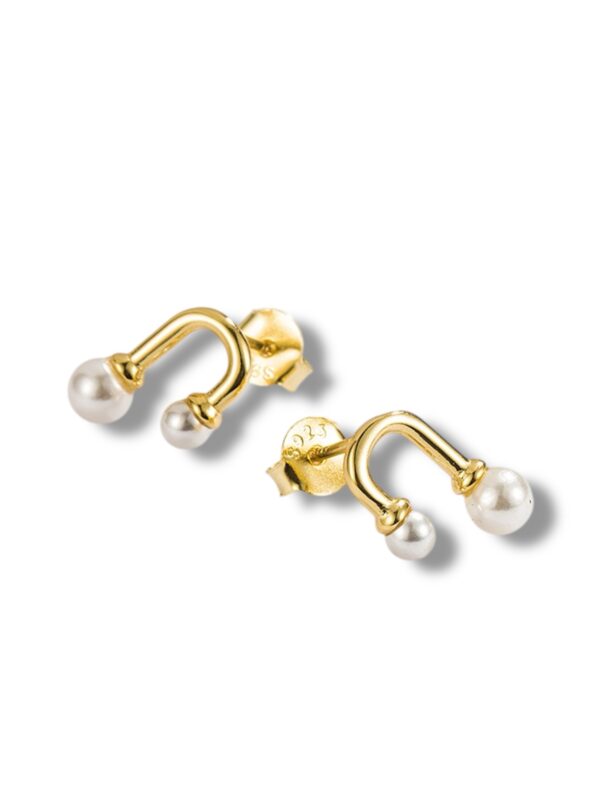 Aretes Oro Vivo