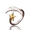 Anillo Eclipse