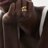 Anillo Fusión
