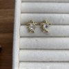 Aretes Tortuga