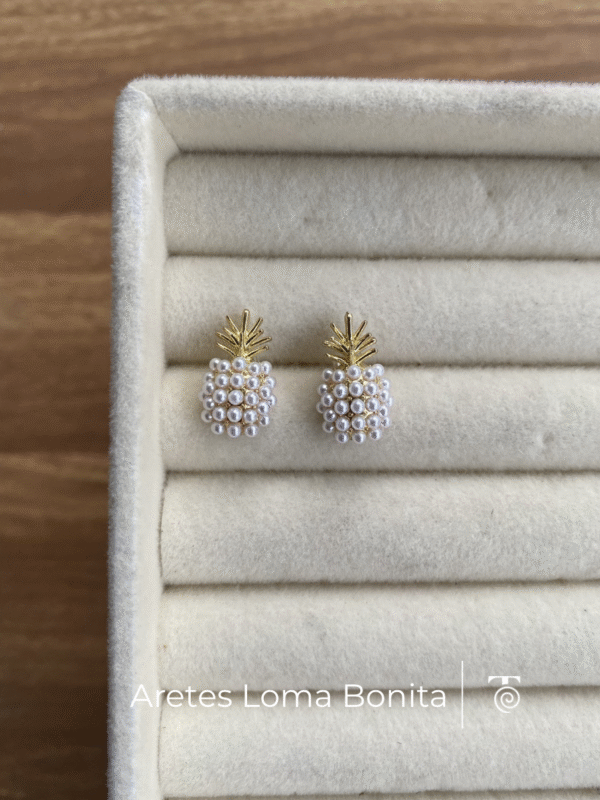 Aretes Loma Bonita
