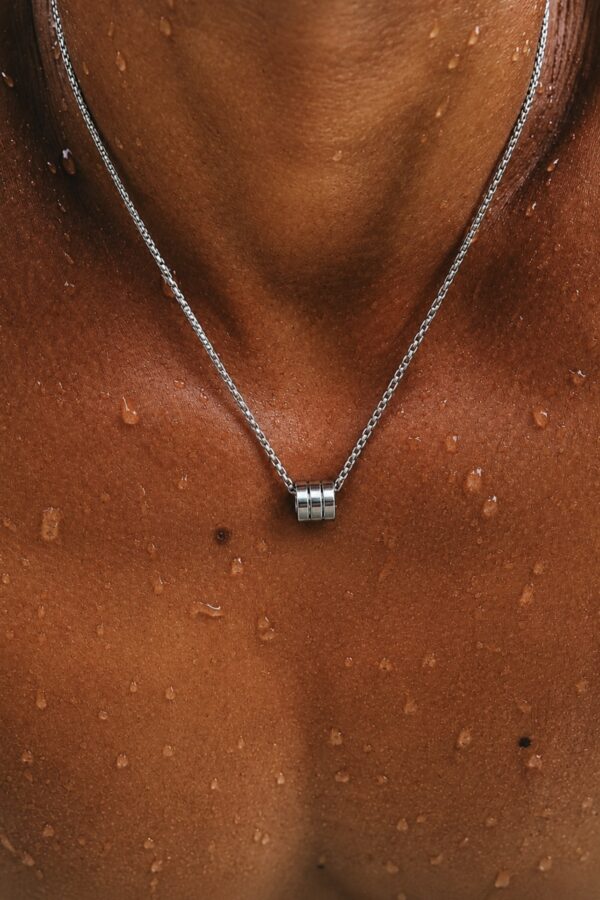 Collar Centinela
